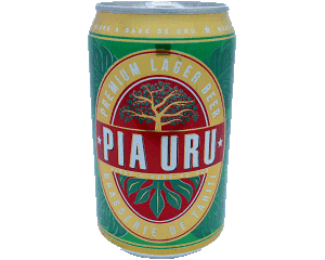 Bière au fruit de l\'arbre à pain (Uru) - VIDE