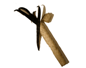 Vanilla pods from Tahiti in their pandanus case